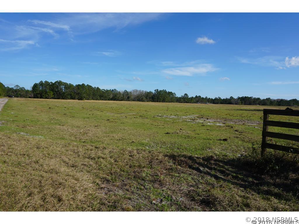 1200 Tallacoe Tr., New Smyrna Beach, FL 32168
