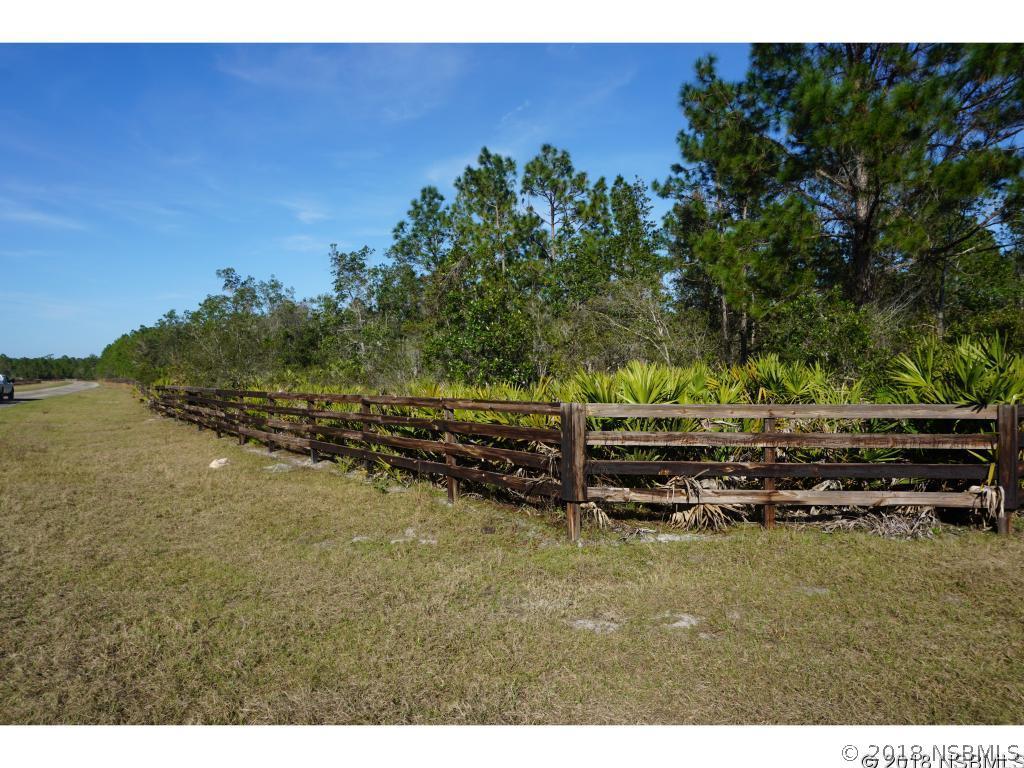 Tallacoe Tr., New Smyrna Beach, FL 32168