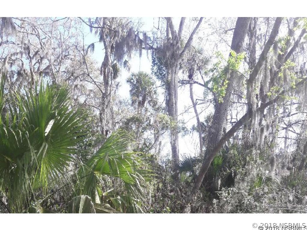 Needle Palm Dr., Edgewater, FL 32132