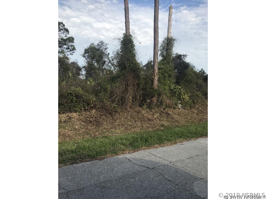 Royal Palm Dr., Edgewater, FL 32141