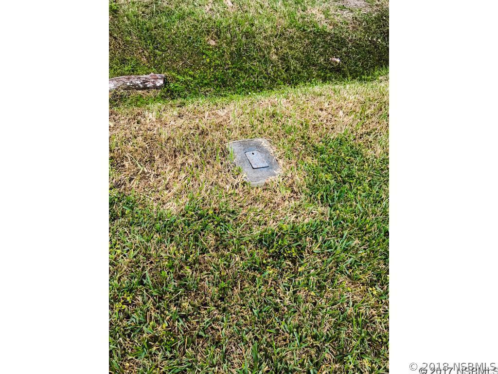 1291 Elizabeth St., New Smyrna Beach, FL 32168