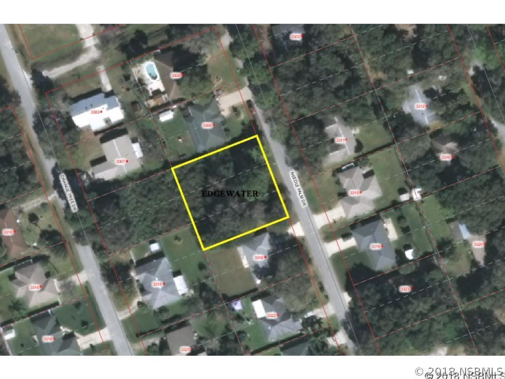 Needle Palm Dr., Edgewater, FL 32132