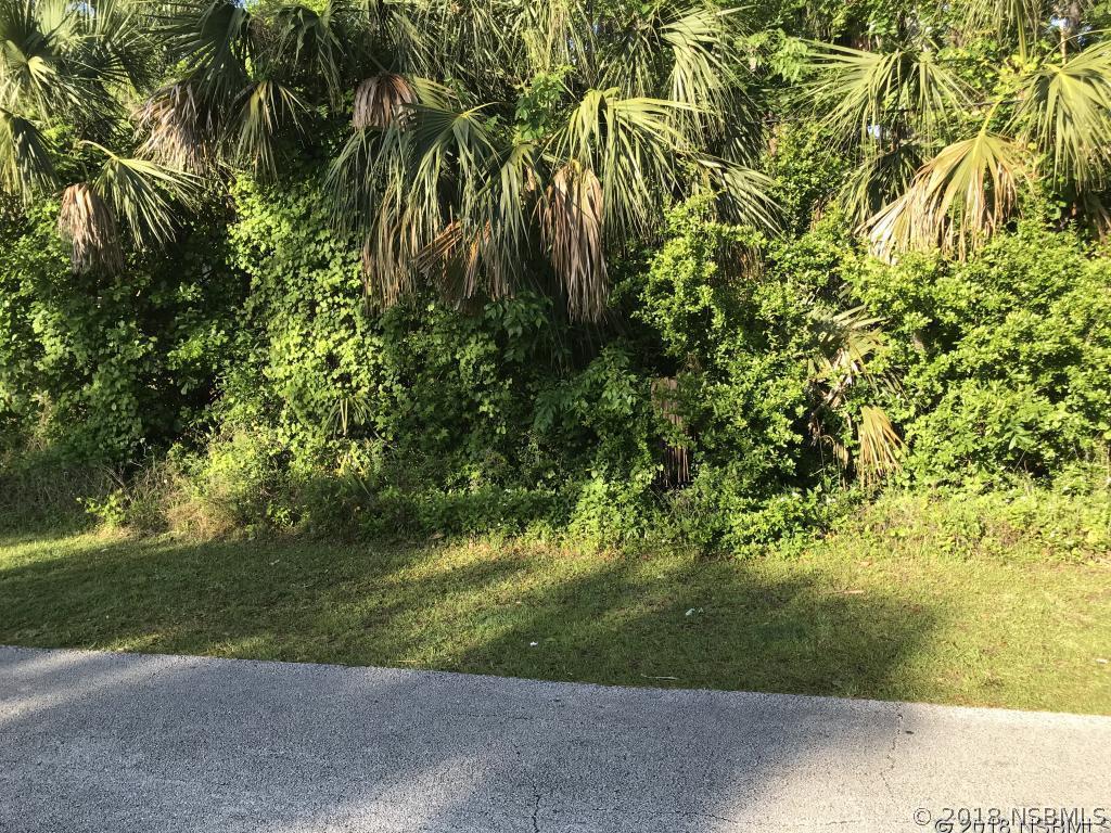 1200 James St., New Smyrna Beach, FL 32168