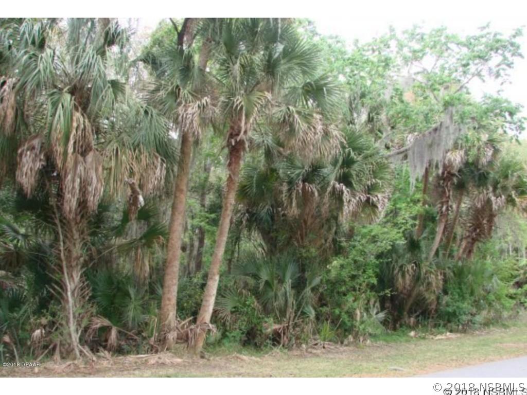 2300 Juniper Dr., Edgewater, FL 32141