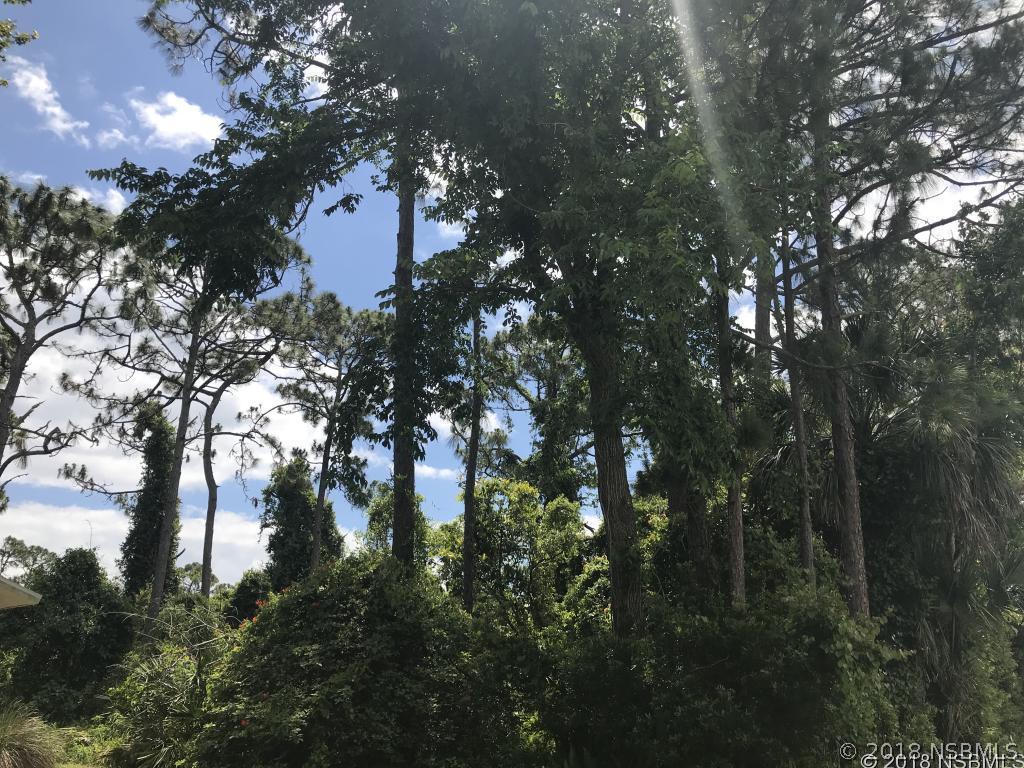 Willow Oak Dr., Edgewater, FL 32132