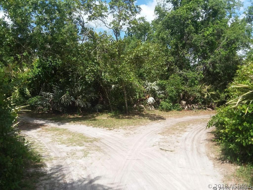 4291 Cow Creek Rd., Edgewater, FL 32141