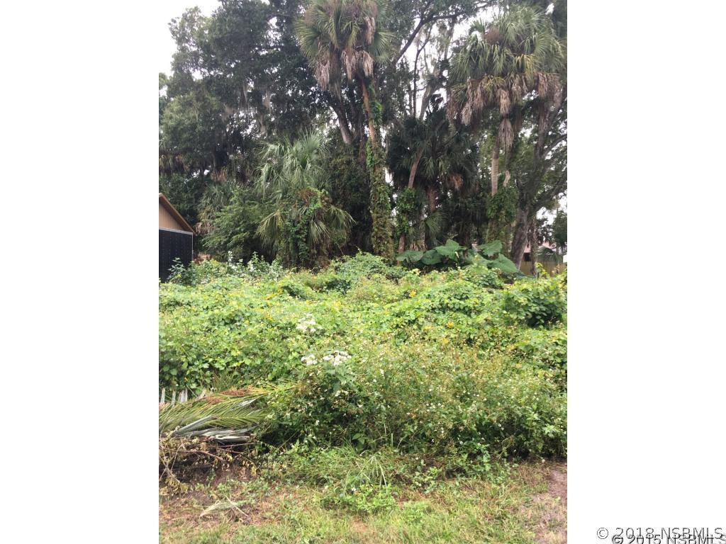 Orange Tree Dr., Edgewater, FL 32141