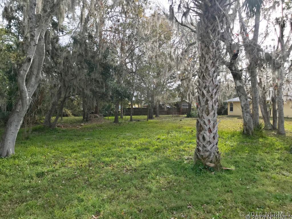 Randle Ave., Oak Hill, FL 32759