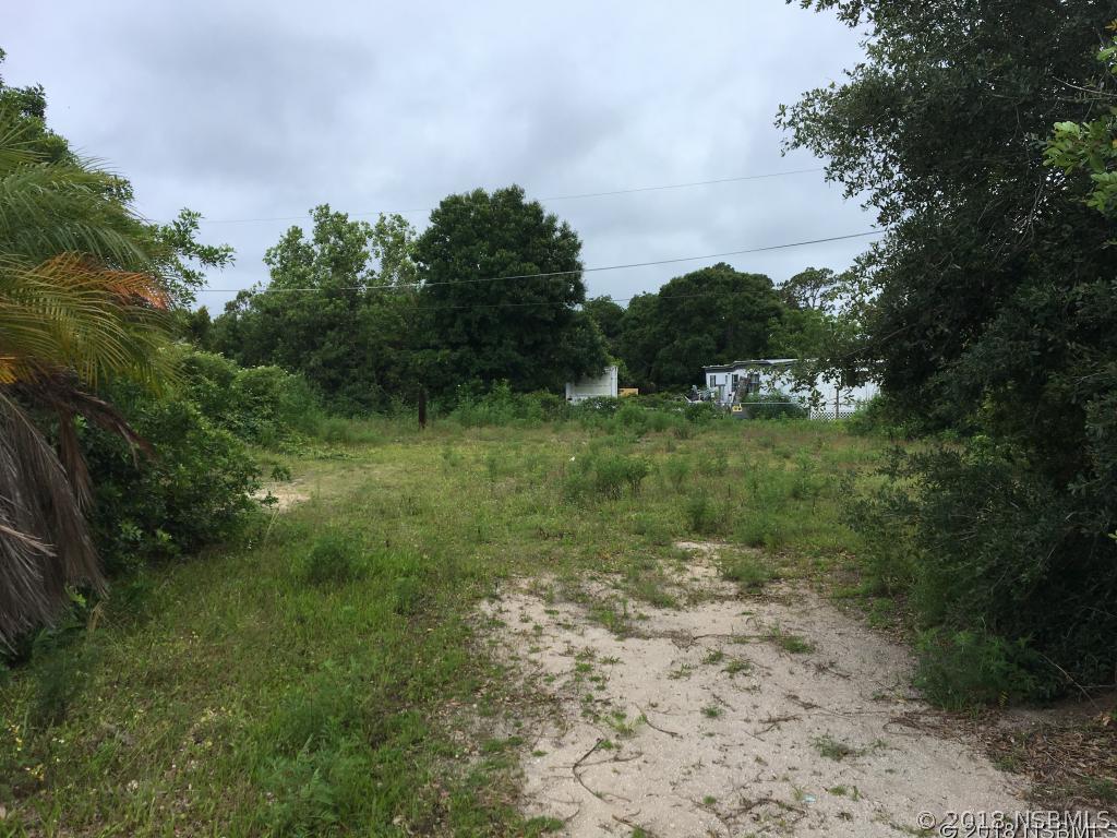 160 Mae St., Oak Hill, FL 32759