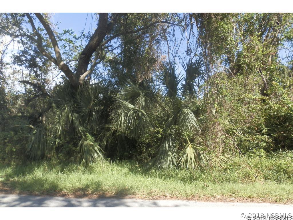 Unity Tree Dr., Edgewater, FL 32141