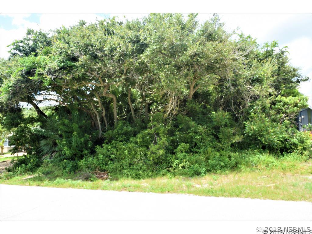 810 E 18th Ave., New Smyrna Beach, FL 32169