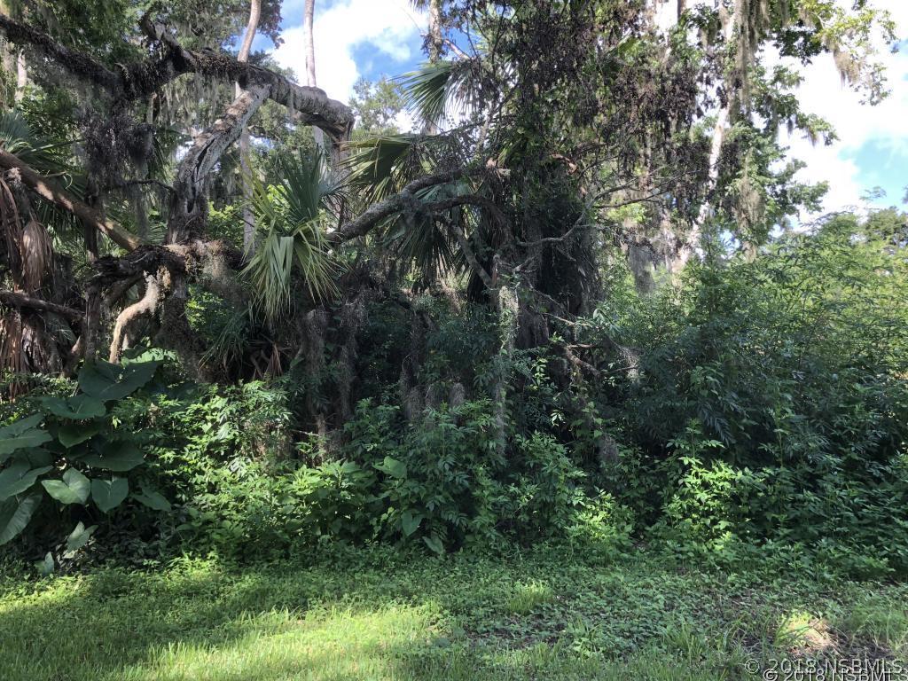 Mango Tree Dr., Edgewater, FL 32141