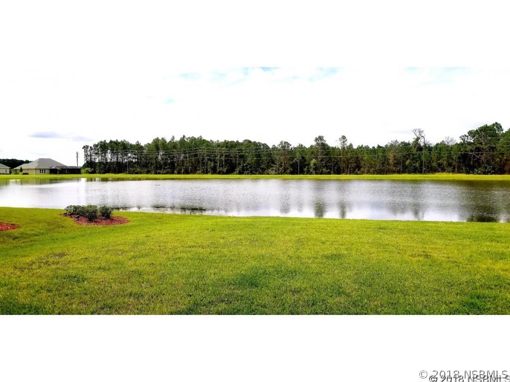 3218 Medici Blvd., New Smyrna Beach, FL 32168