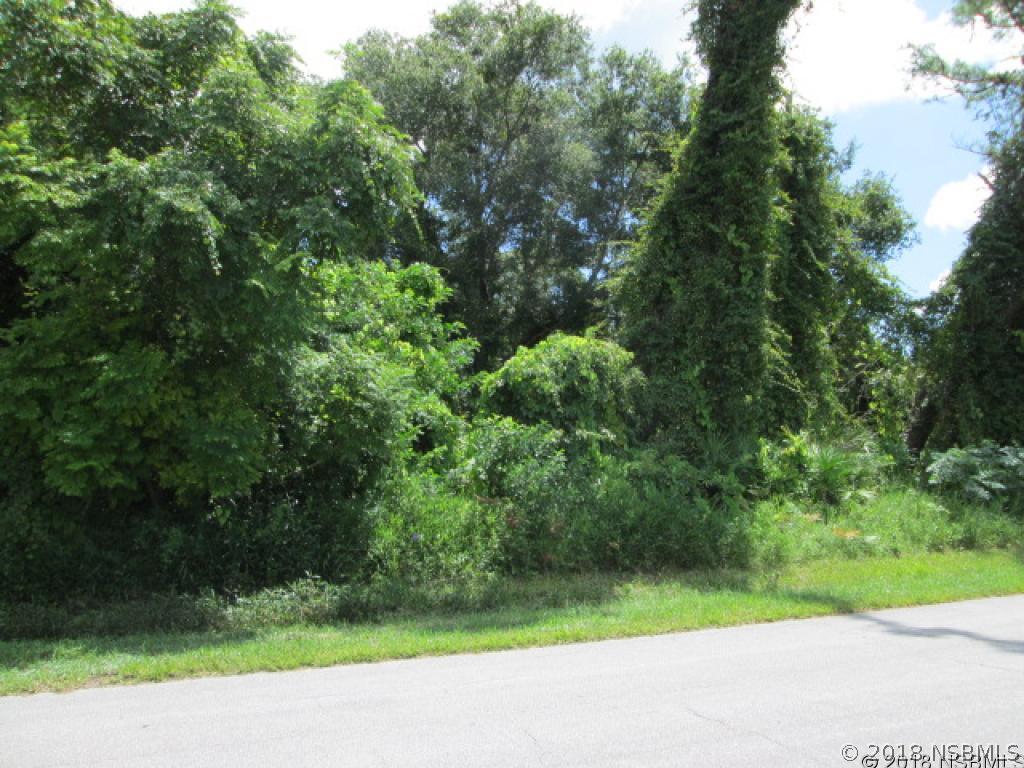 Pine Tree Dr., Edgewater, FL 32141