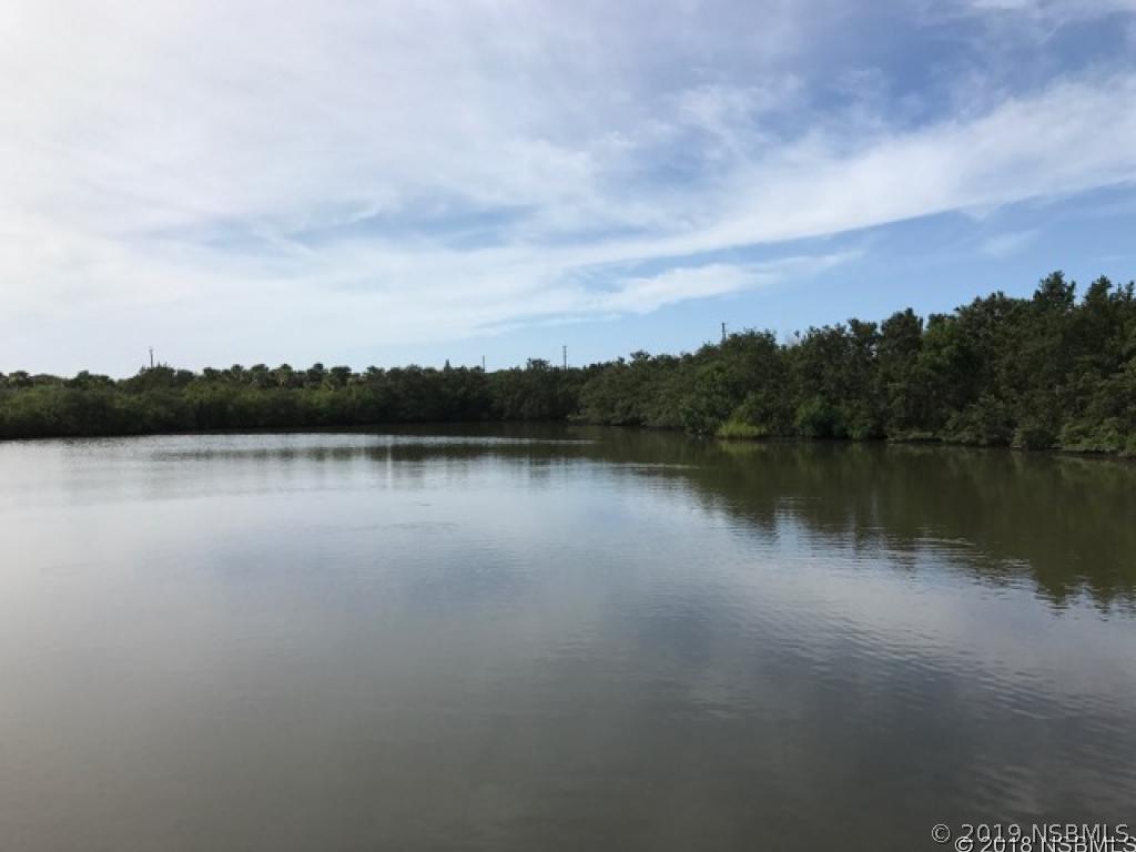 4860 S Atlantic Ave. #205, New Smyrna Beach, FL 32169