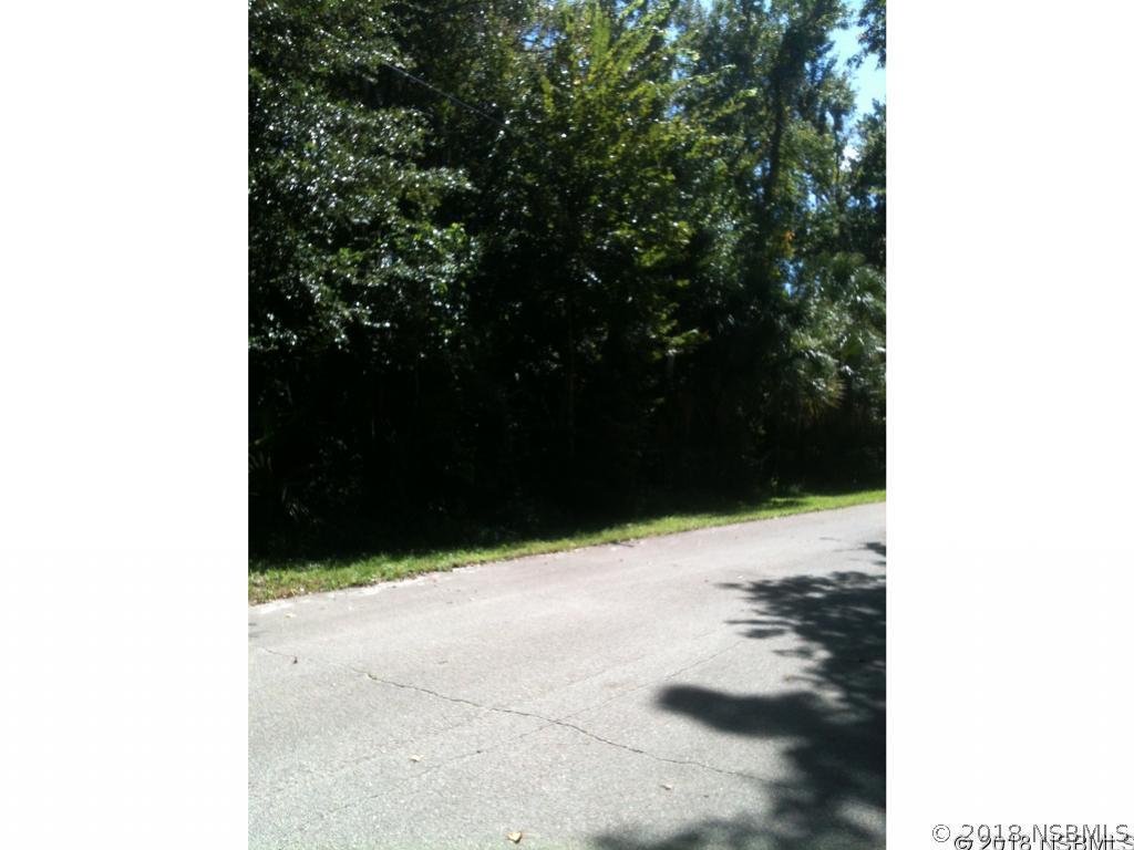 Pearl St., New Smyrna Beach, FL 32168