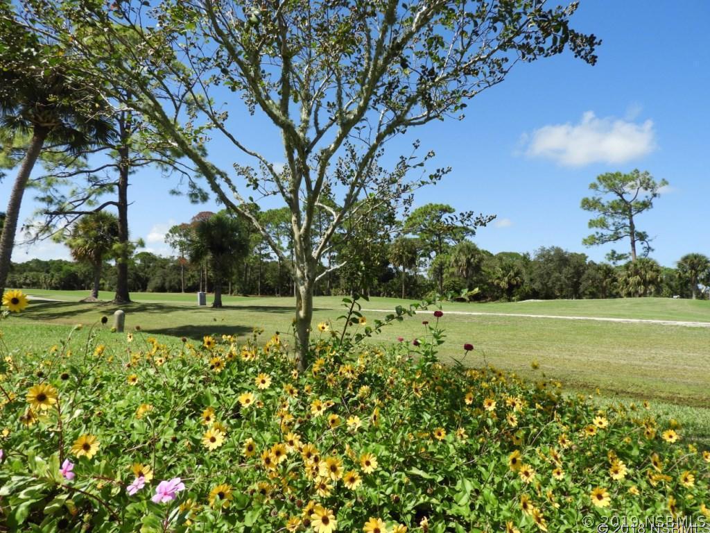 105 Lake Fairgreen Cir., New Smyrna Beach, FL 32168