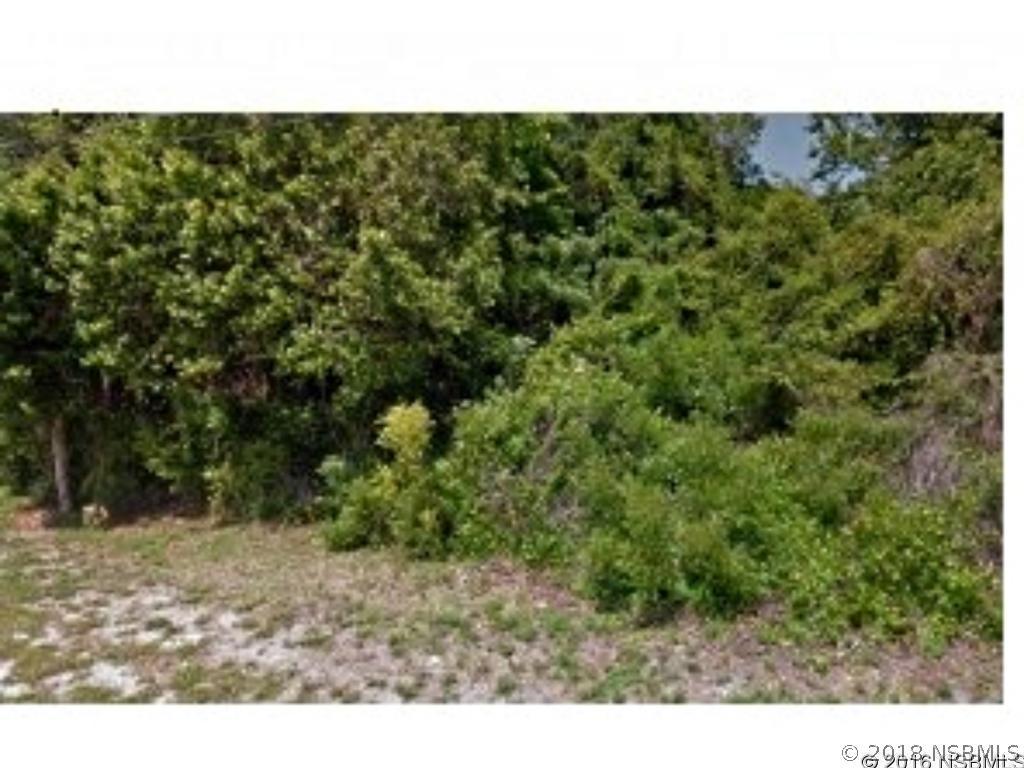 Guava Dr., Edgewater, FL 32141