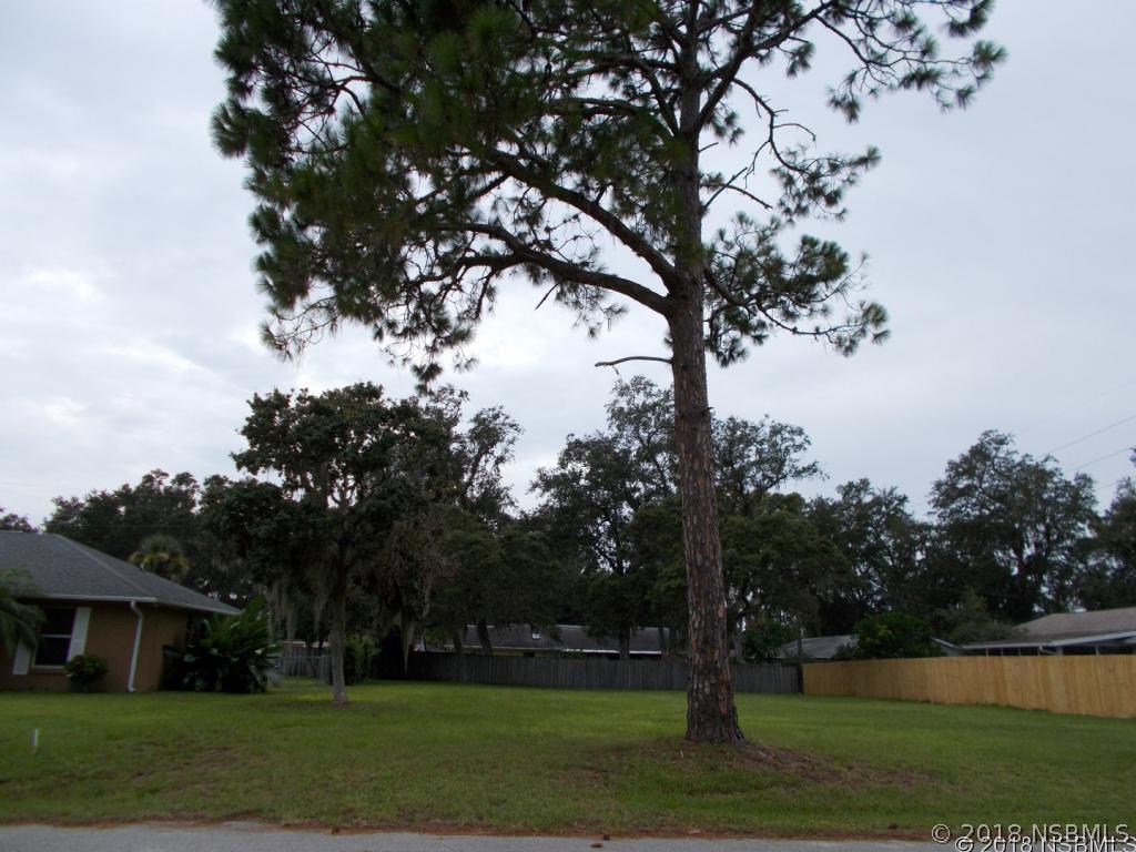 Sabal Palm Dr., Edgewater, FL 32141