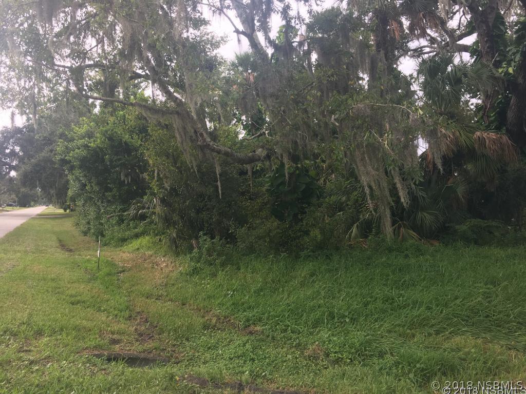 2804 Kumquat Dr., Edgewater, FL 32141