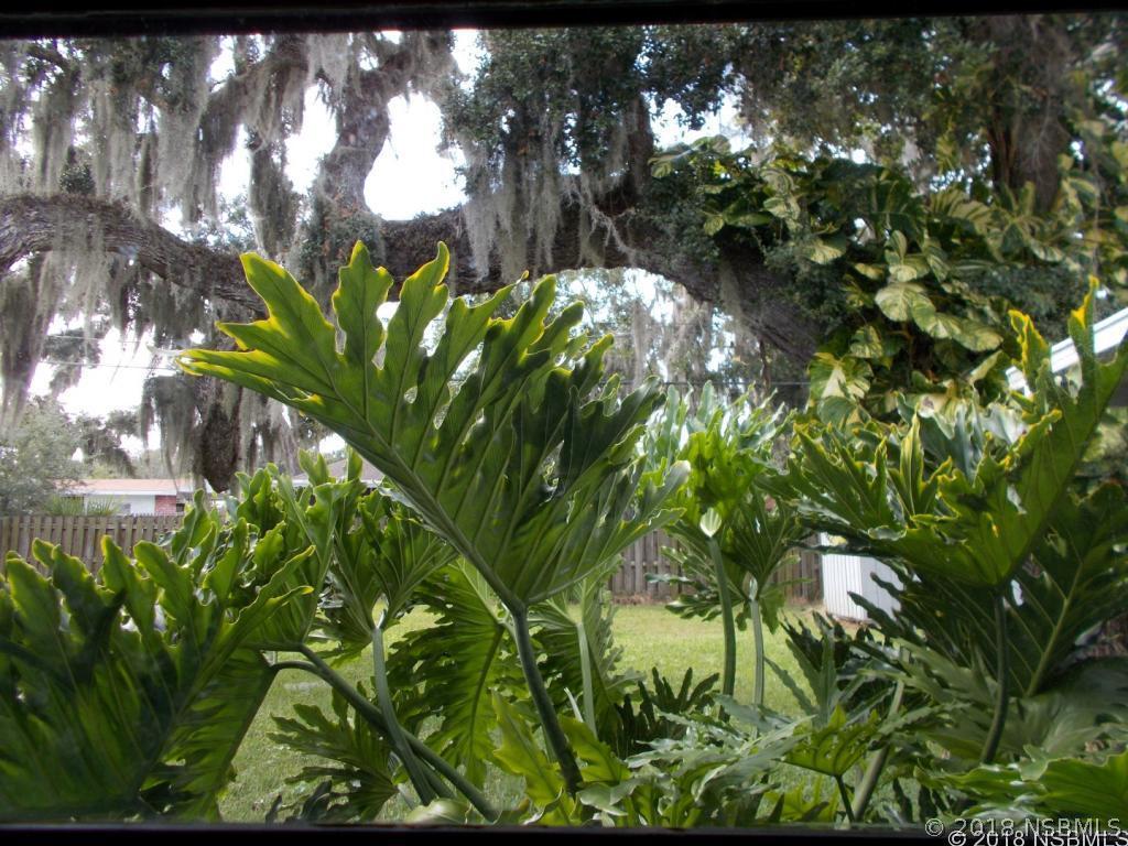 2716 Kumquat Dr., Edgewater, FL 32141