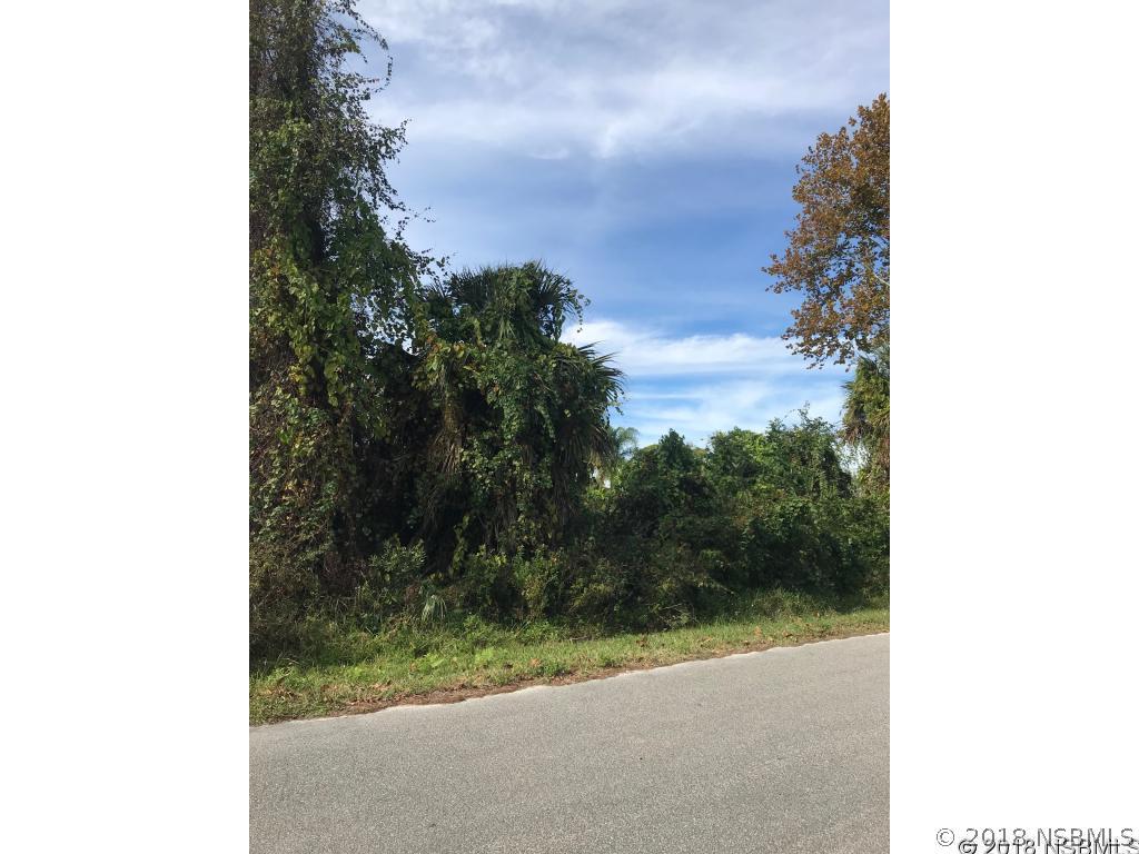 Willow Oak Dr., Edgewater, FL 32132