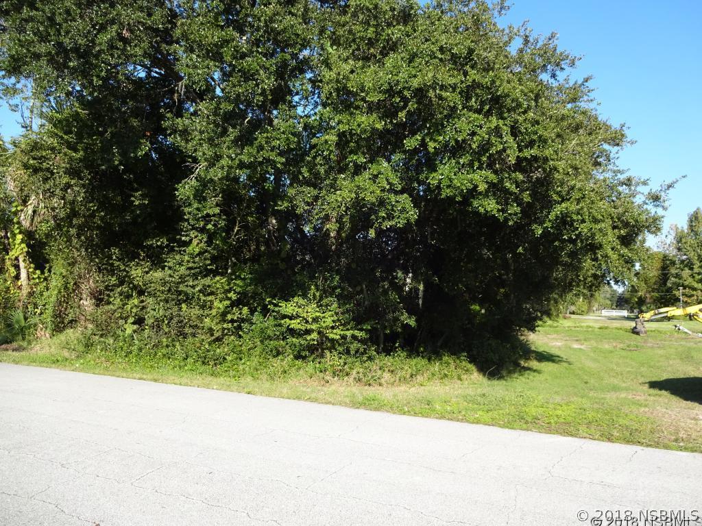 2029 Umbrella Tree Dr., Edgewater, FL 32141