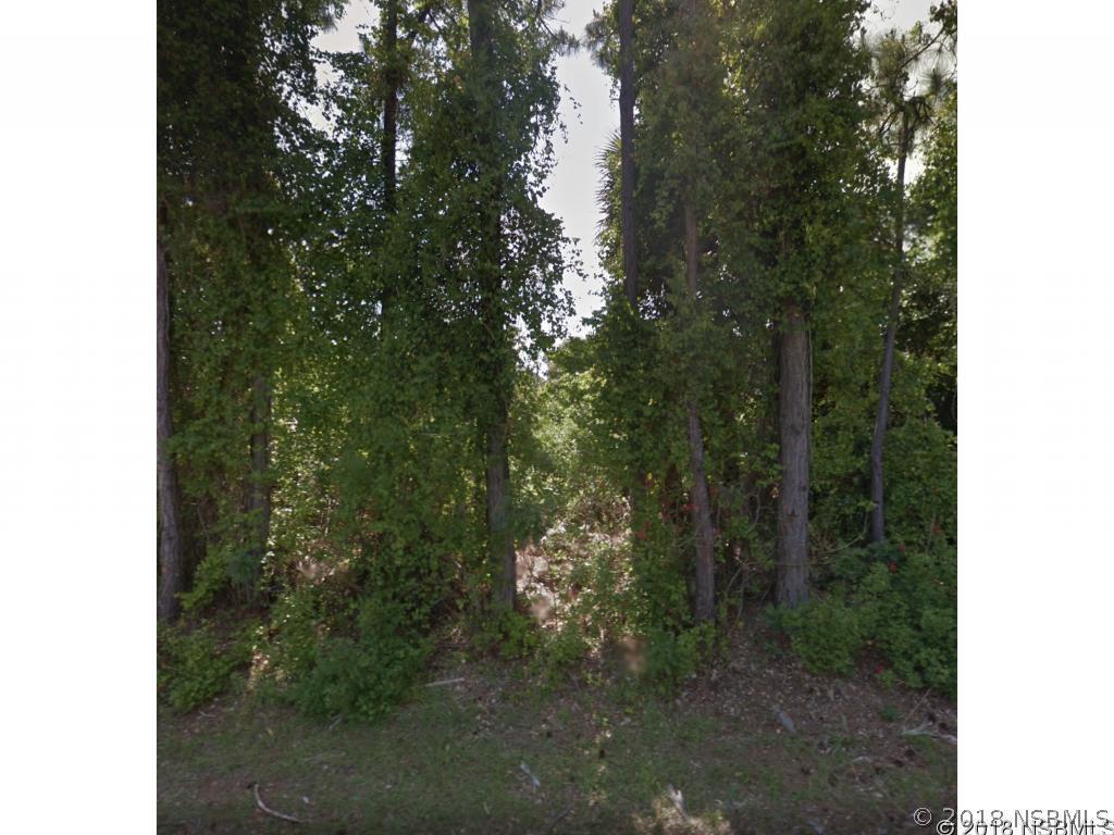 Guava Dr., Edgewater, FL 32141
