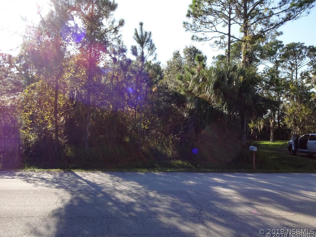 2502 Silver Palm Dr., Edgewater, FL 32141