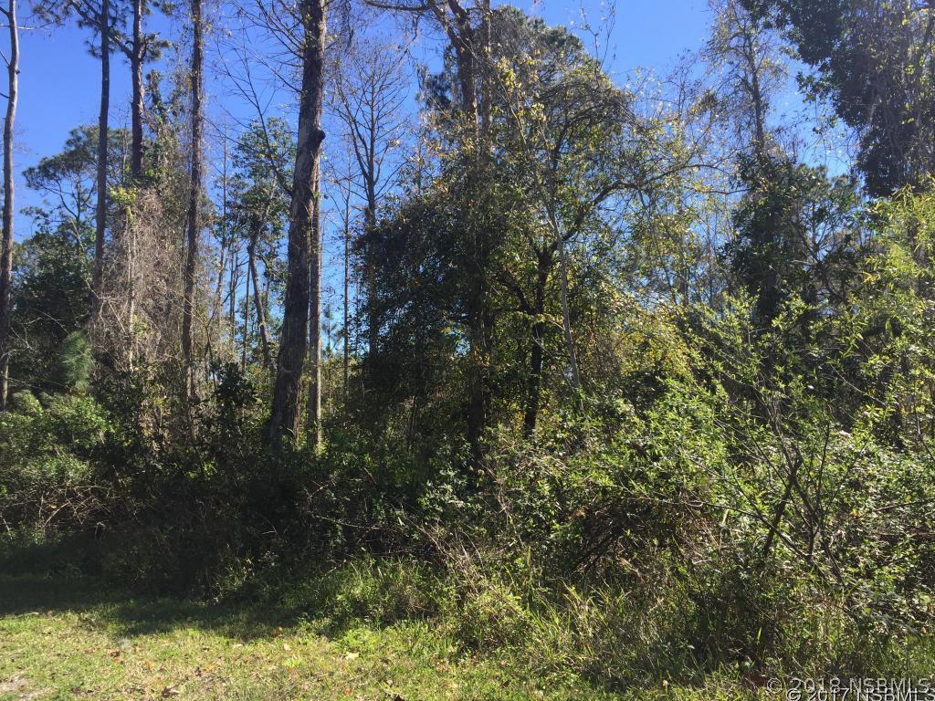 Elizabeth St., New Smyrna Beach, FL 32168