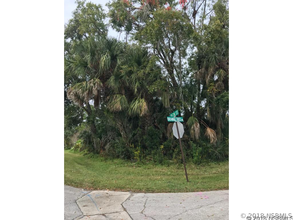 Orange Tree Dr., Edgewater, FL 32141