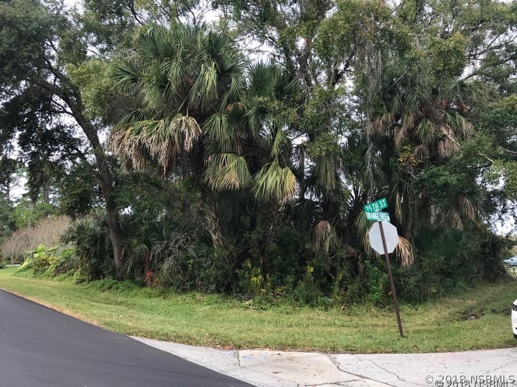 Orange Tree Dr., Edgewater, FL 32141