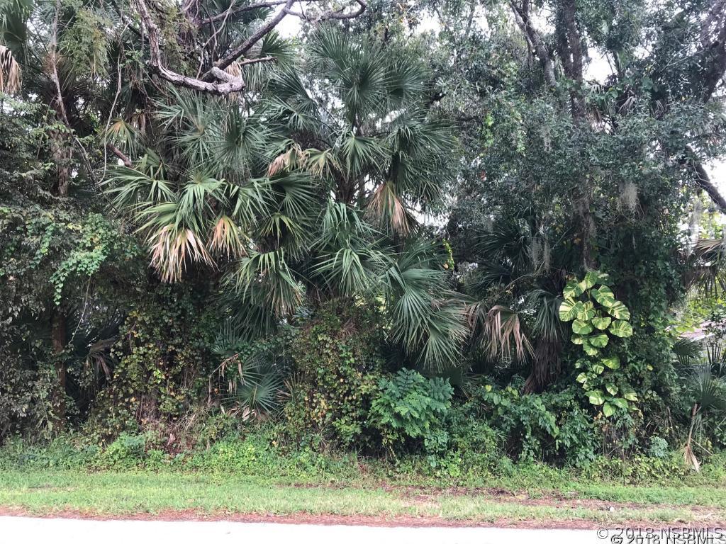 Needle Palm Dr., Edgewater, FL 32132