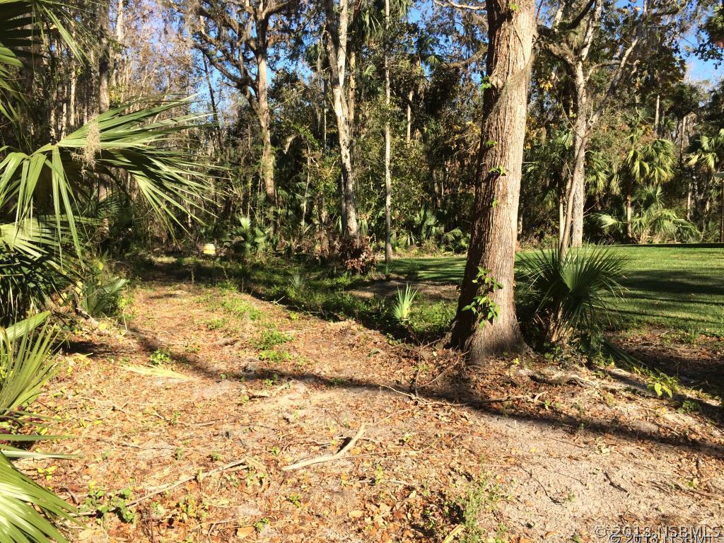 Juanita Dr., New Smyrna Beach, FL 32168