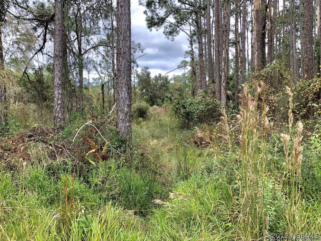 Herin Dr., New Smyrna Beach, FL 32168