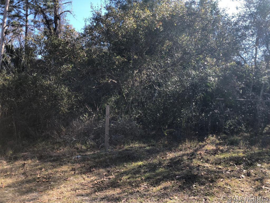 Williams Ave., Orange City, FL 32763