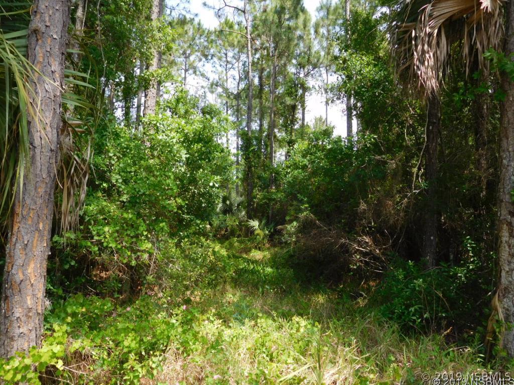 Beacon Rd., Oak Hill, FL 32759