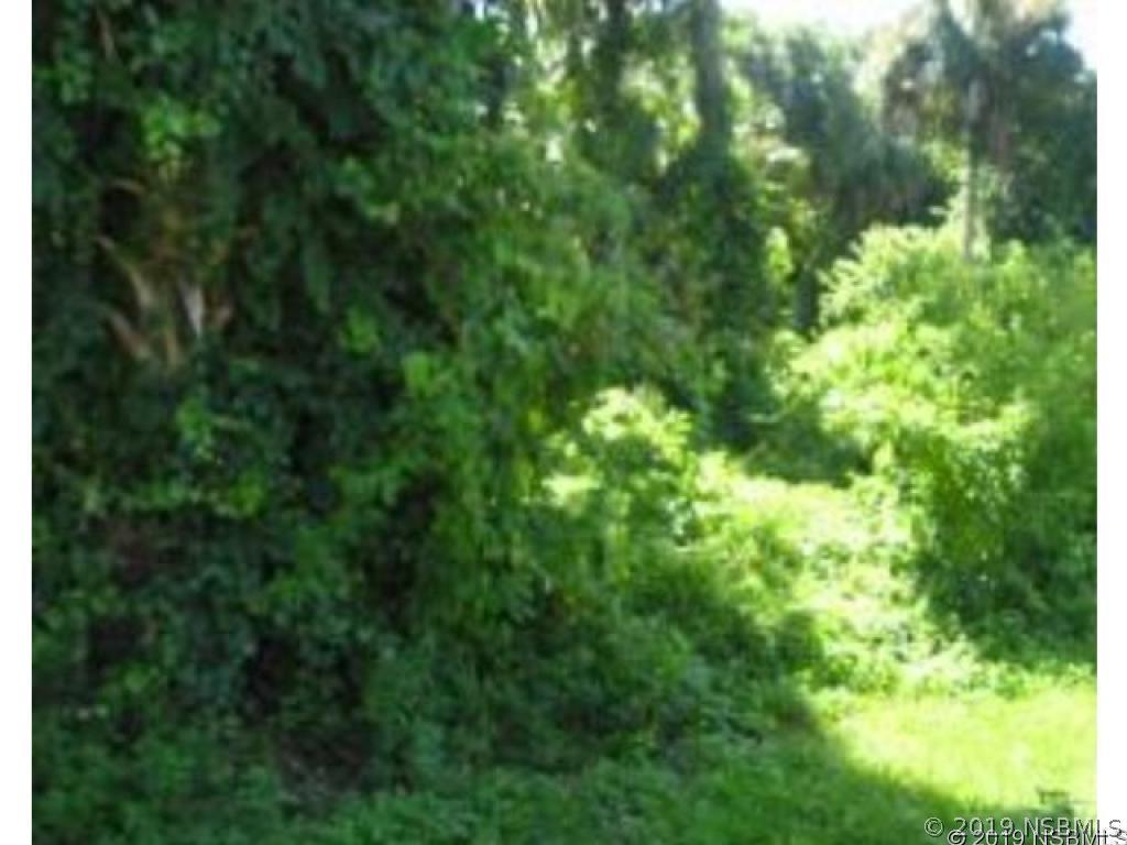 Royal Palm Dr., Edgewater, FL 32141