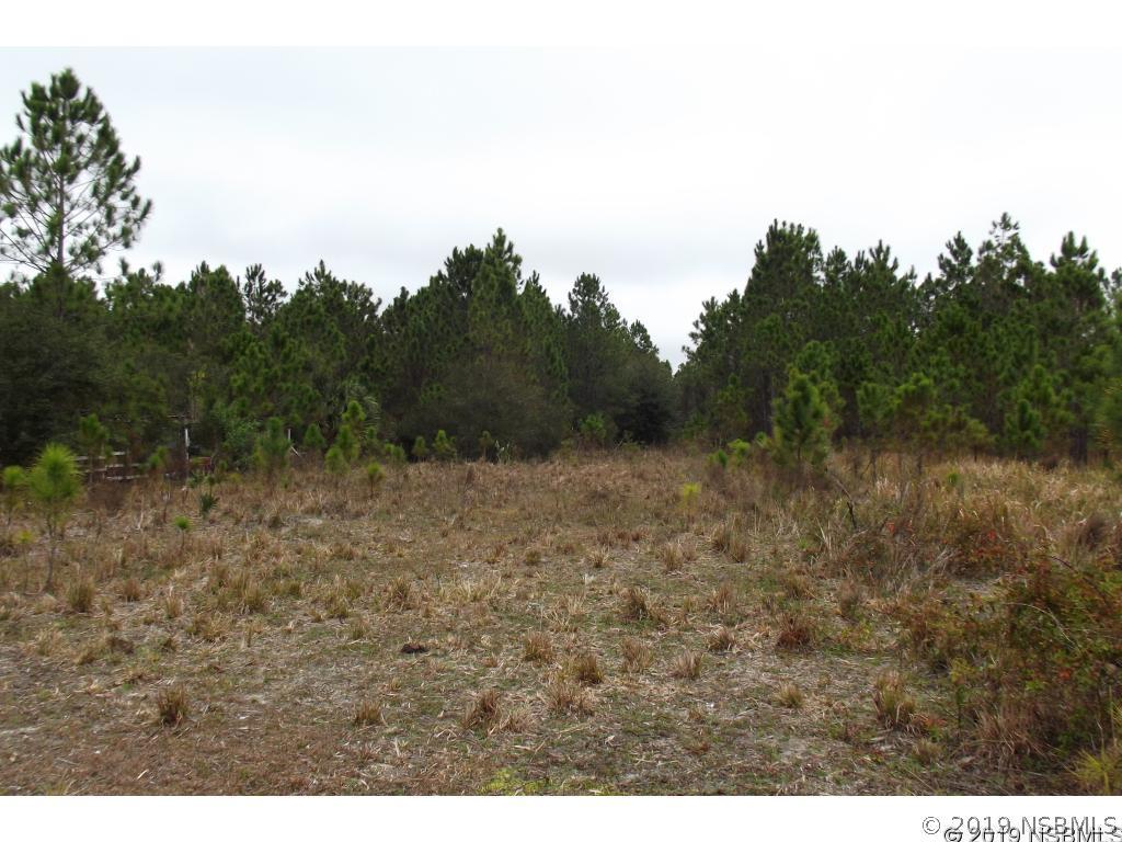 3871 State Road 44 Rd., New Smyrna Beach, FL 32168