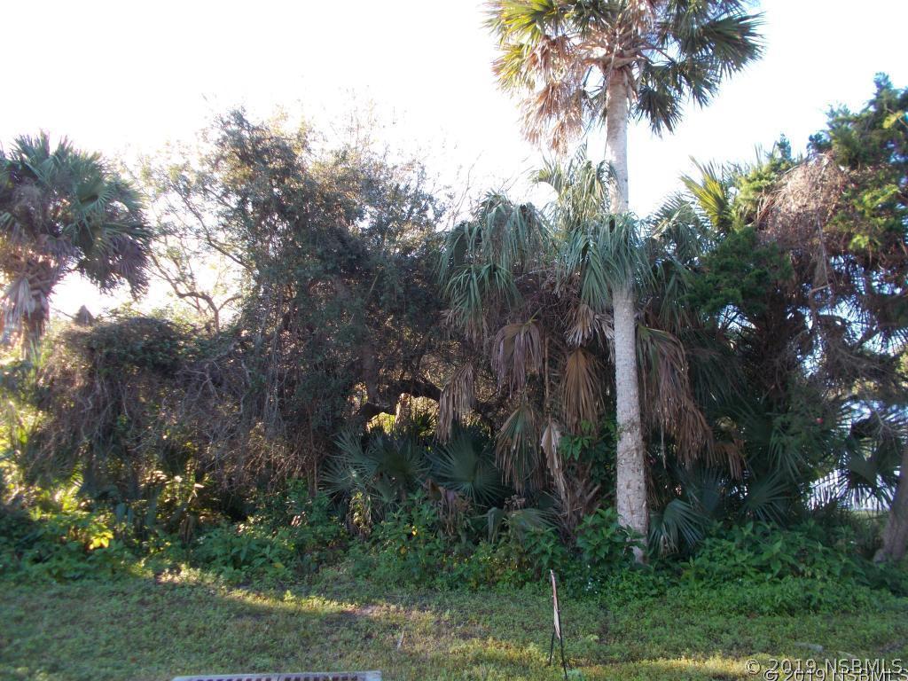 811 Locust St., New Smyrna Beach, FL 32169