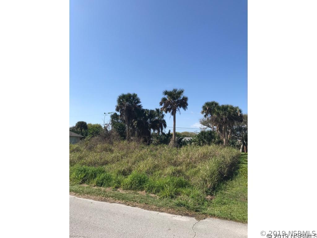 4442 Doris Dr., New Smyrna Beach, FL 32169