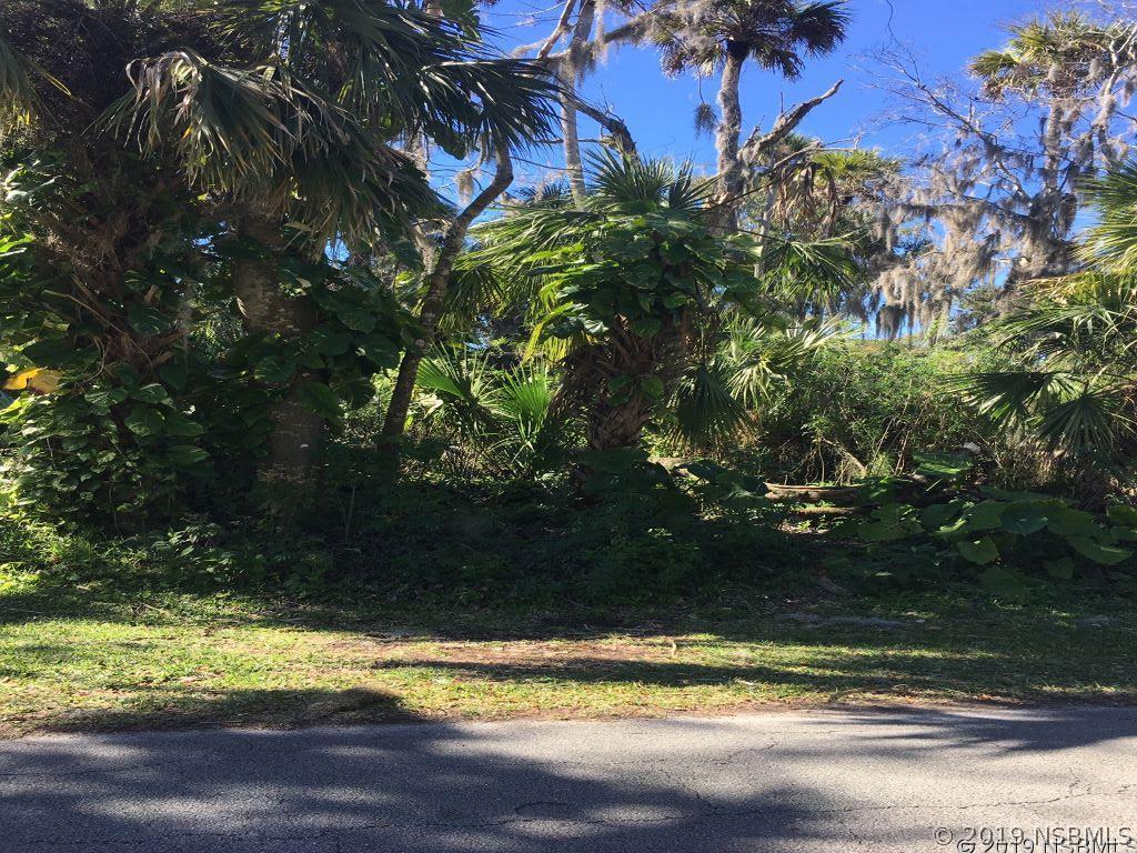 Mango Tree Dr., Edgewater, FL 32141