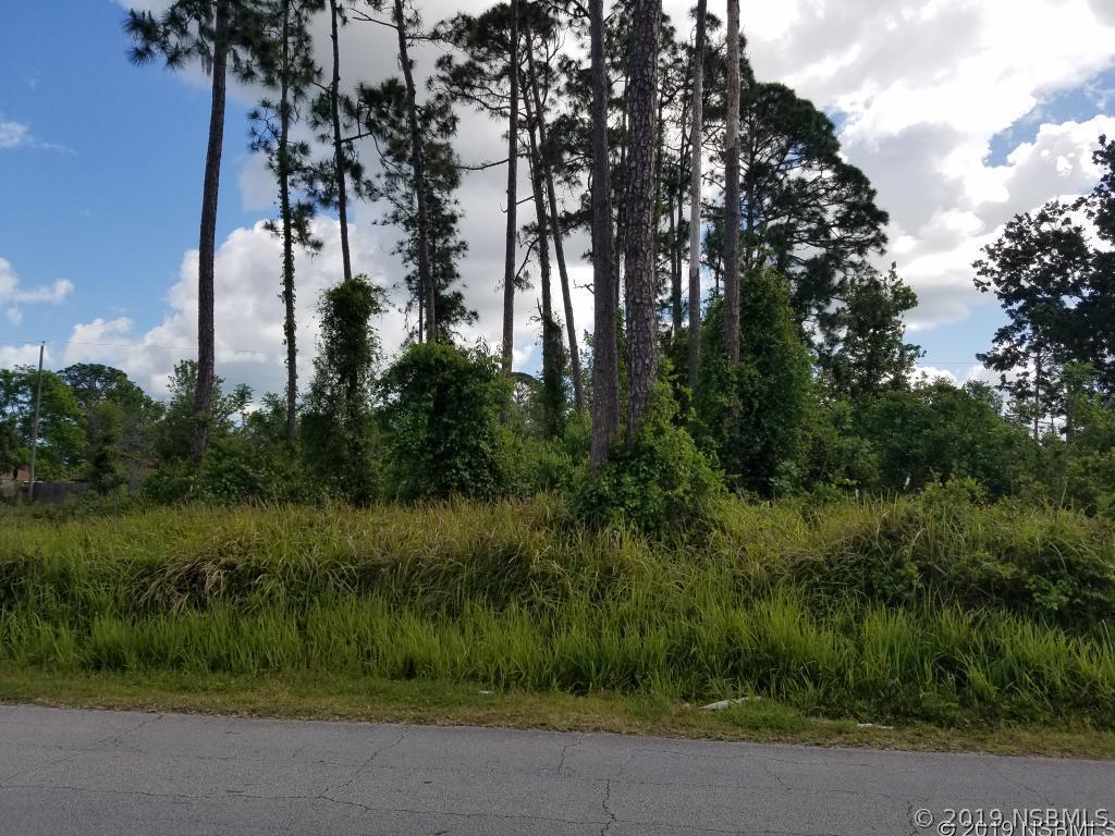 Silver Palm Dr., Edgewater, FL 32141