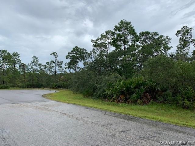 4020 Sebring Ct., New Smyrna Beach, FL 32168