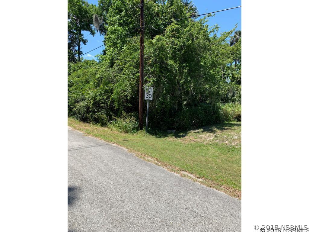 Magnolia Dr., New Smyrna Beach, FL 32168
