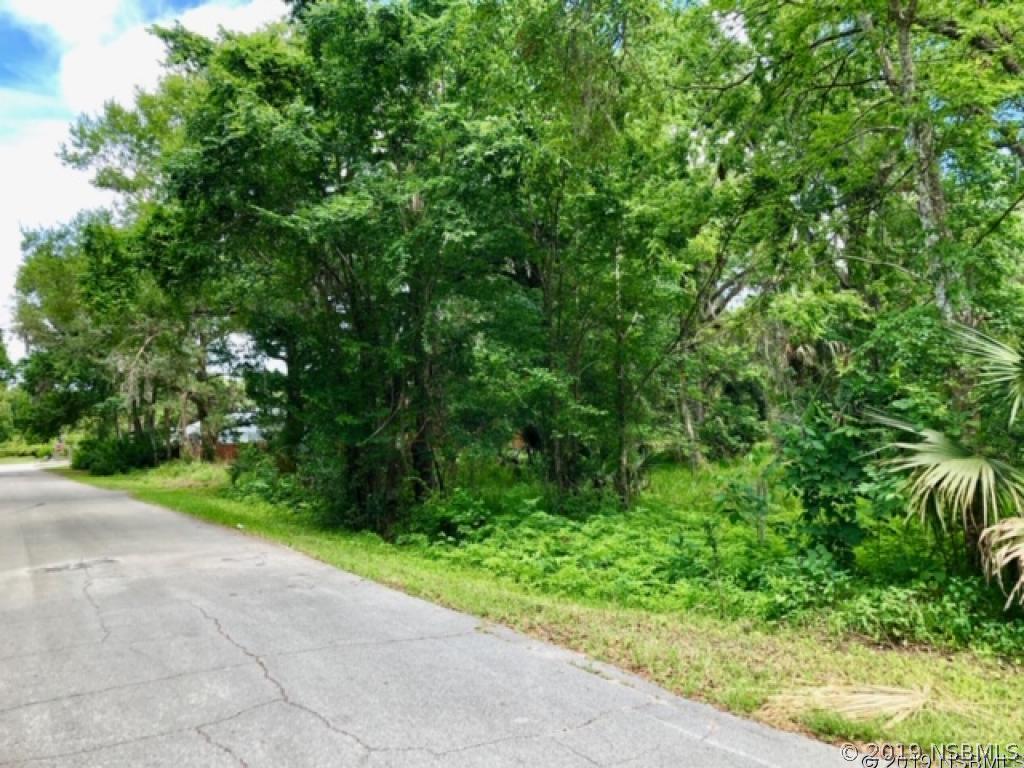 1249 Elizabeth St., New Smyrna Beach, FL 32168