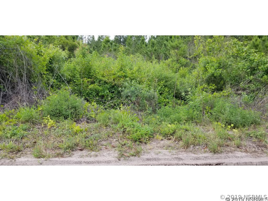 Quail Nest Ln., New Smyrna Beach, FL 32168