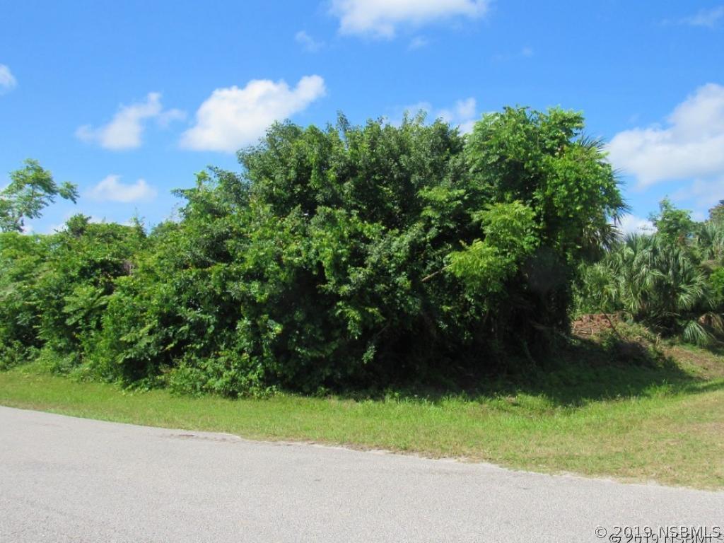 2300 Sabal Palm Dr., Edgewater, FL 32141