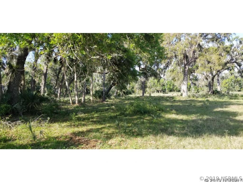 Williams Rd., New Smyrna Beach, FL 32168