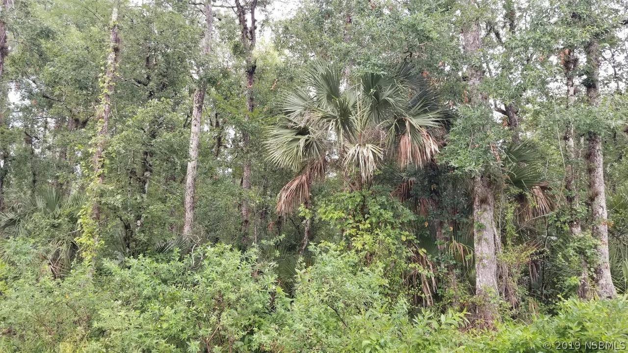 No Name St., New Smyrna Beach, FL 32168